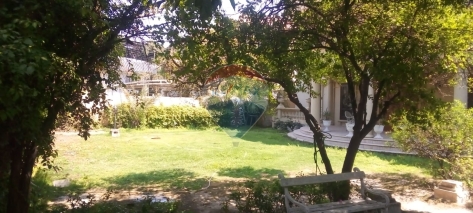 2 Kanal House with Basement for Rent in DHA Ph 3